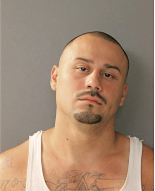 MANUEL VEGA, Cook County, Illinois