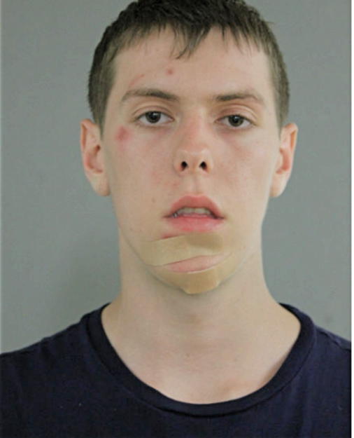 NATHAN C WETTING, Cook County, Illinois