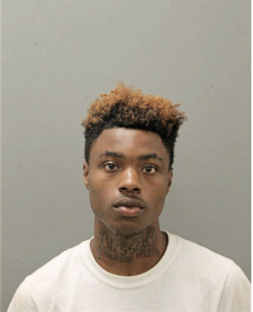 ANDRE L ADAMS, Cook County, Illinois