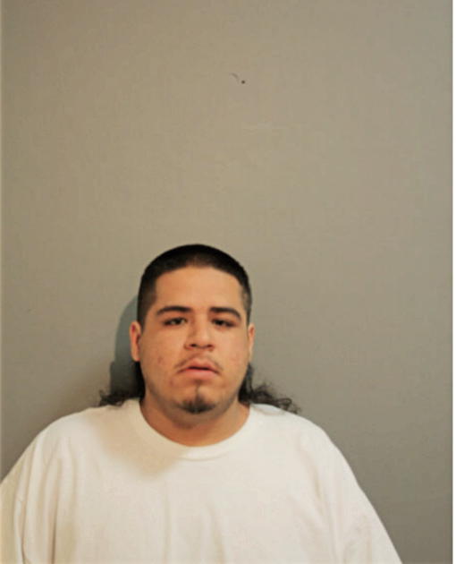 SERGIO ALMAGUER, Cook County, Illinois