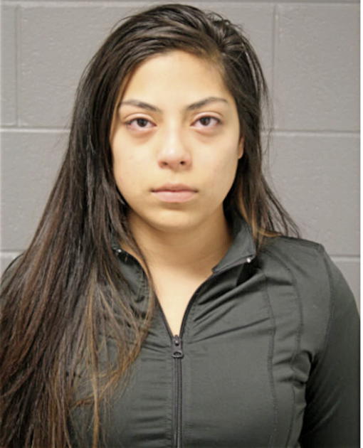 ALEXIS N APONTE, Cook County, Illinois