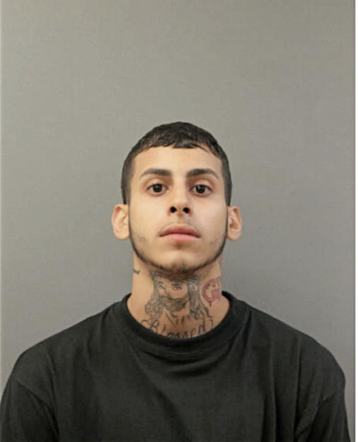 ADRIAN B CHAN, Cook County, Illinois