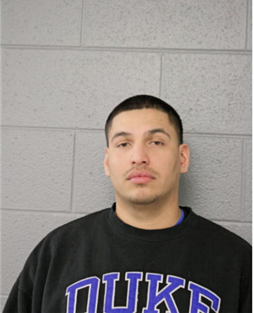 ROBERTO P DURAN, Cook County, Illinois