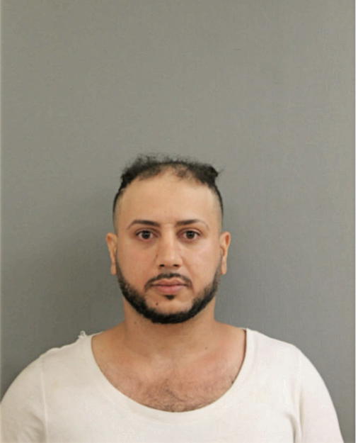 WALID A EL KHECHEN, Cook County, Illinois