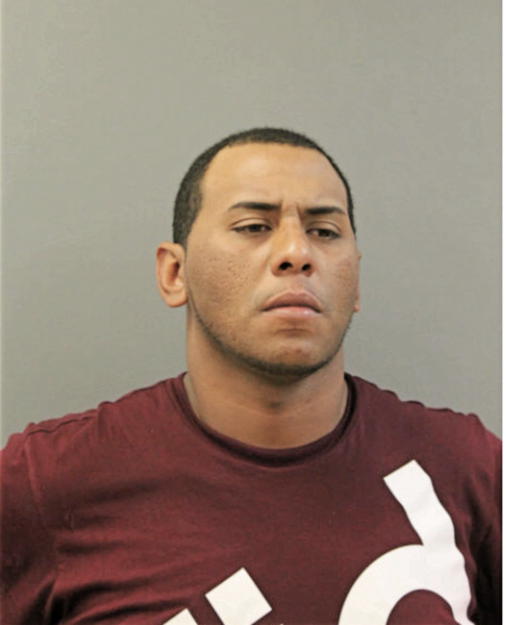 ANDY FLORES, Cook County, Illinois