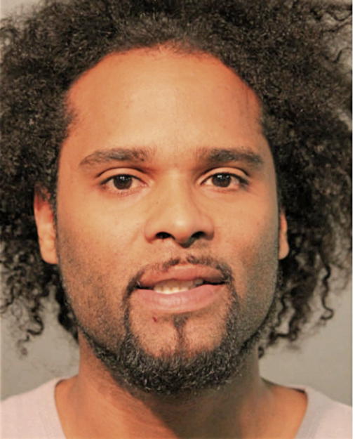 JEFFREY ELVIS GERENA-BUJOSA, Cook County, Illinois