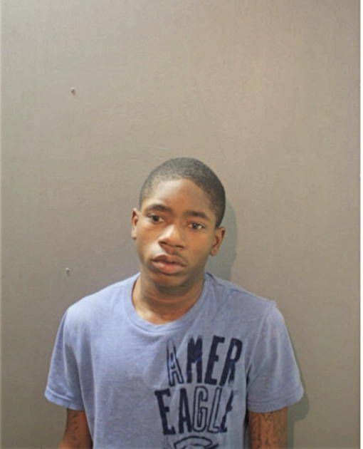 MICHAEL M HENDERSON, Cook County, Illinois