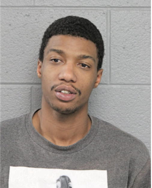 ROBERT T HUNT, Cook County, Illinois