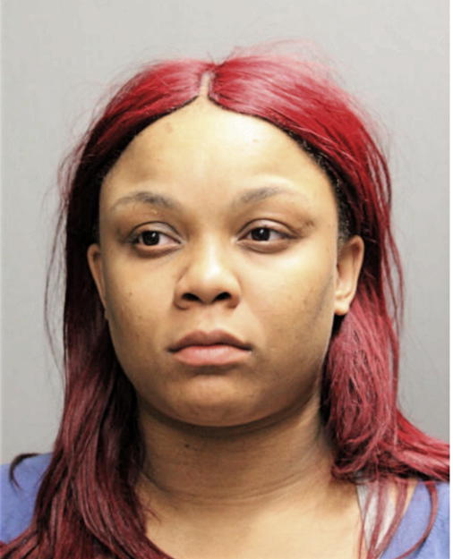 KEVINA V MITCHELL, Cook County, Illinois