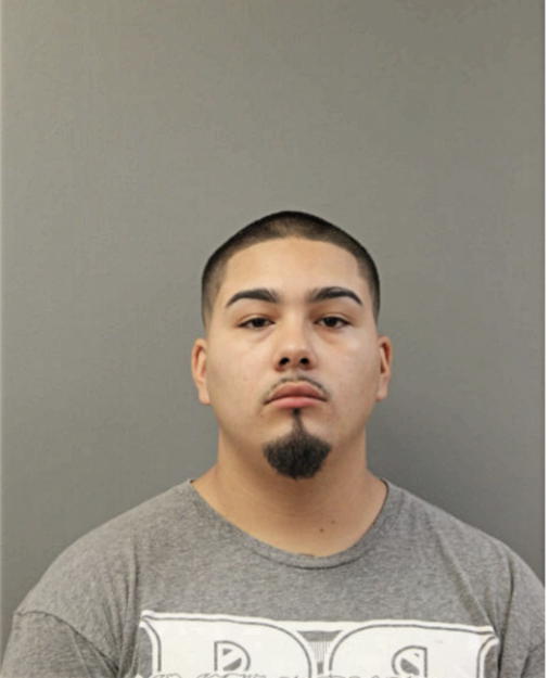 FRANCISCO D MUNOZ, Cook County, Illinois