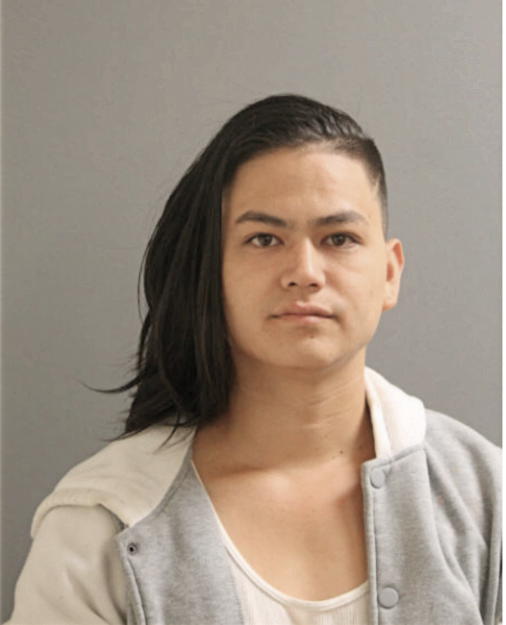 TAKANAO NAKA, Cook County, Illinois