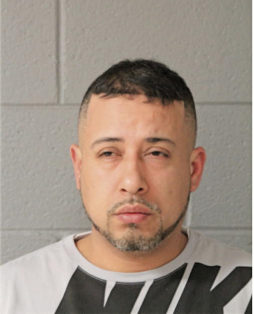 CARLOS J NEGRETE, Cook County, Illinois