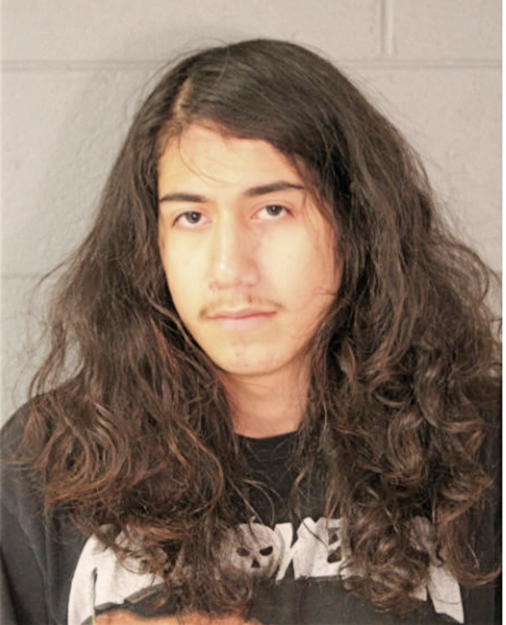ALEXANDER PEDRO, Cook County, Illinois