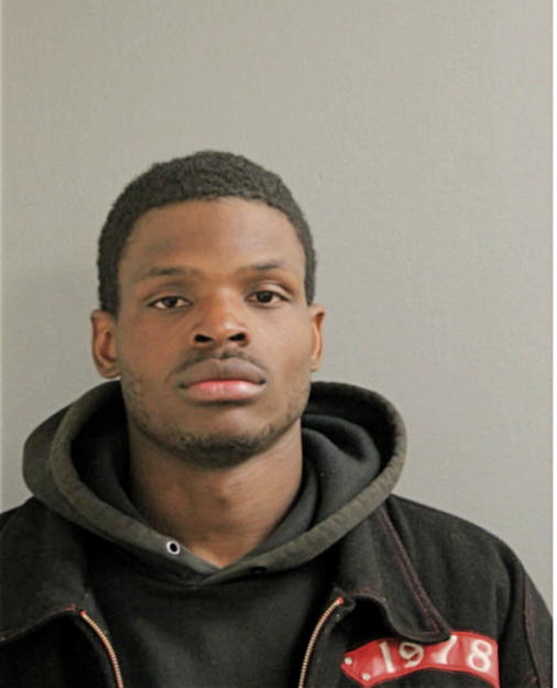 BRIAN D REED, Cook County, Illinois