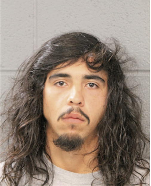 JOSE C ROSILES, Cook County, Illinois
