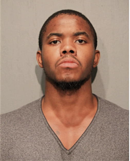 ANDREW J ROSS, Cook County, Illinois
