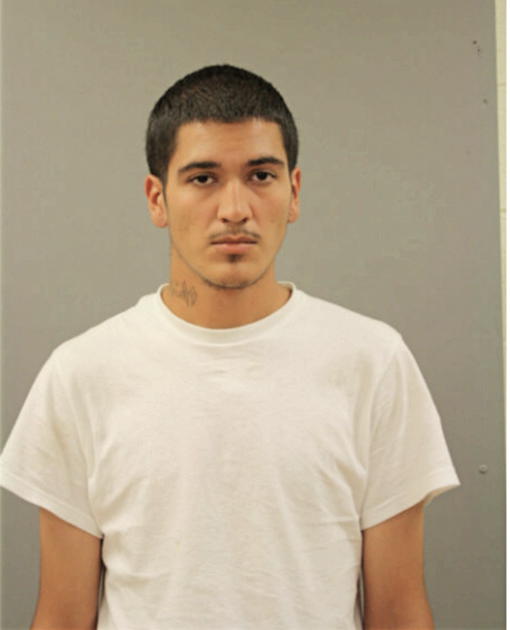 NINO VALLE, Cook County, Illinois