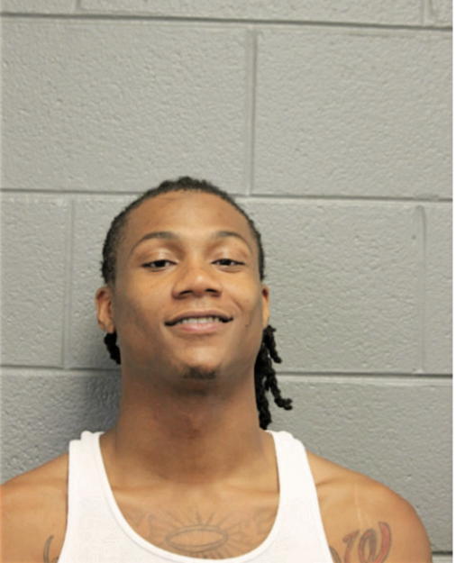 MICHAEL S WHITE, Cook County, Illinois