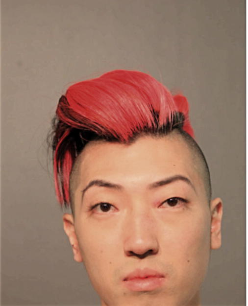BRADLEY M WOO, Cook County, Illinois