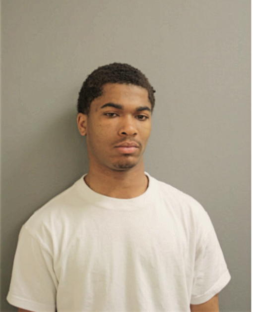 DWAYNE L ANDERSON, Cook County, Illinois