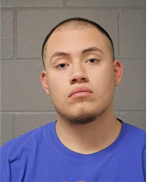MIGUEL A CAMARILLO, Cook County, Illinois