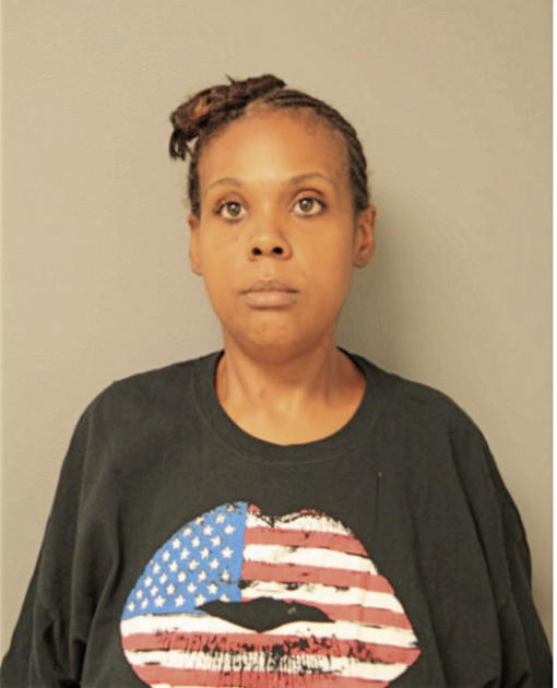 LISA N COLEMAN, Cook County, Illinois