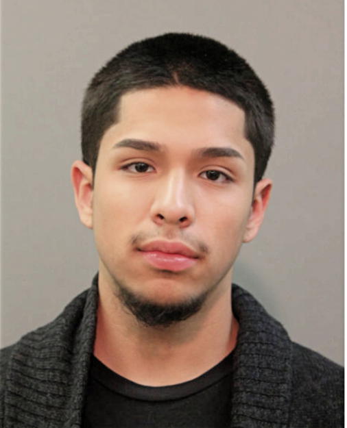 RAUL A ESCAMILLA, Cook County, Illinois