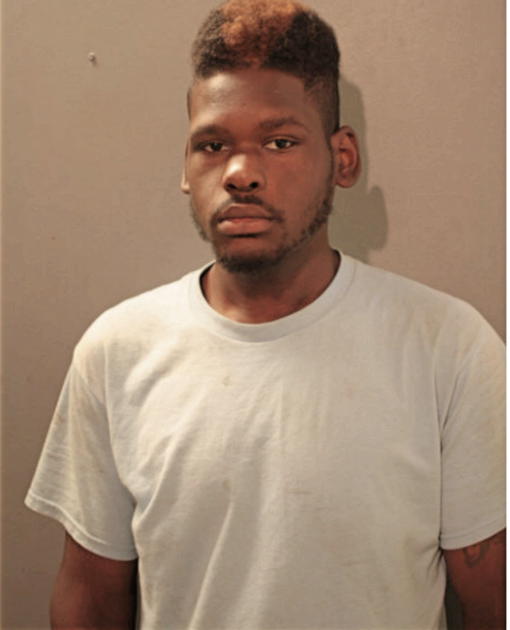 DENNIS L EVANS, Cook County, Illinois