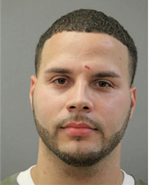 ROBERTO FONSECA, Cook County, Illinois