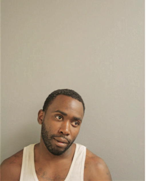 ALLEN T FORD, Cook County, Illinois