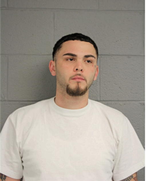 ANTHONY A GONZALEZ, Cook County, Illinois