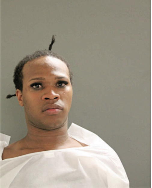 JEFFREY J HOLMES, Cook County, Illinois