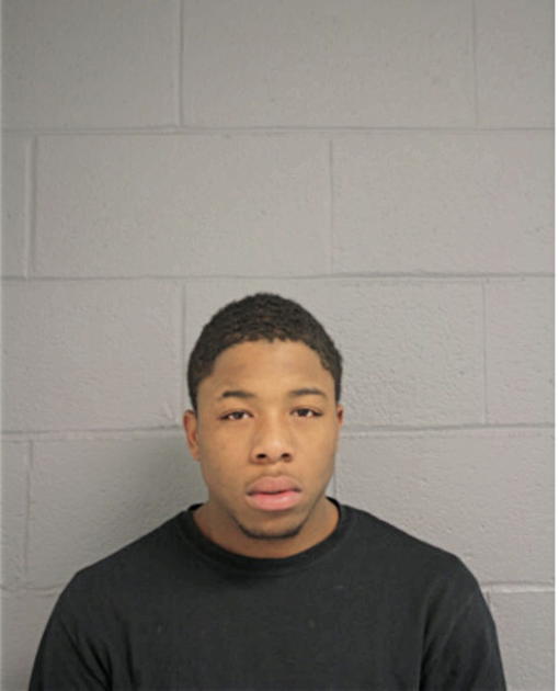 STEVEN JENKINS, Cook County, Illinois