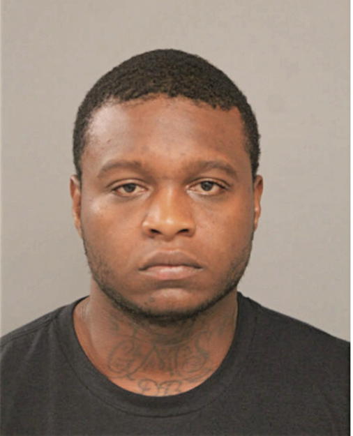 DANIEL MARK JOHNSON, Cook County, Illinois