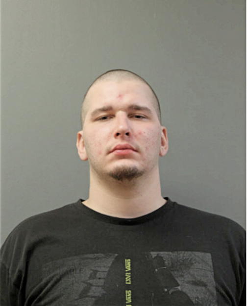 WILLIAM M KRAJECKI, Cook County, Illinois
