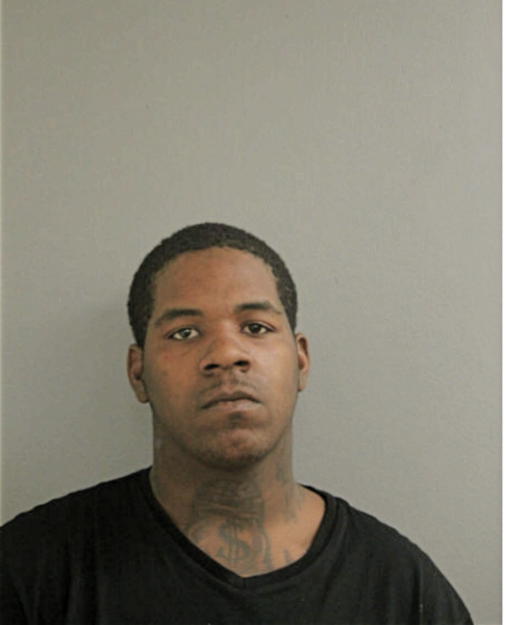 DEVON M LEE, Cook County, Illinois