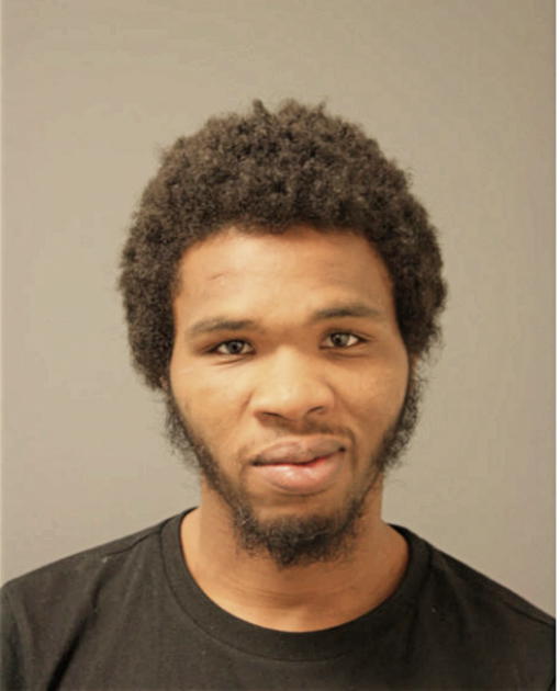 MICHAEL C MCDONALD, Cook County, Illinois