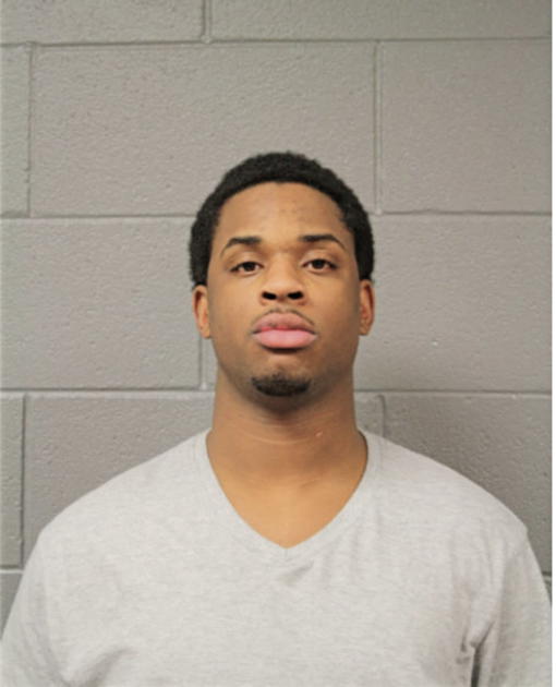KENNETH M MCHENRY, Cook County, Illinois