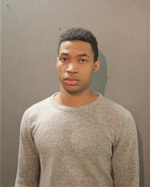 ANDREW J MILLER, Cook County, Illinois