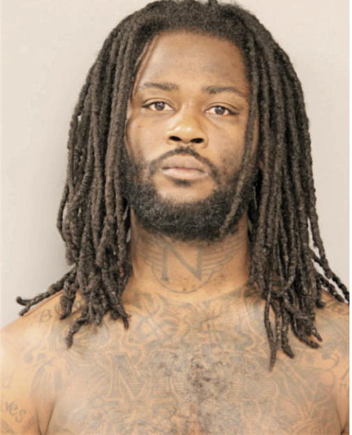 MICHAEL L NEAL, Cook County, Illinois