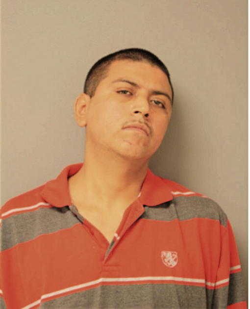 JORGE ROMO, Cook County, Illinois