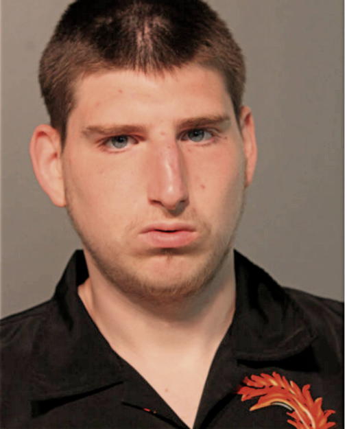 DYLAN TOMLIN, Cook County, Illinois