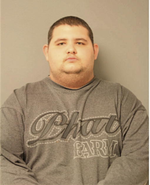 BRYAN WALDREN, Cook County, Illinois