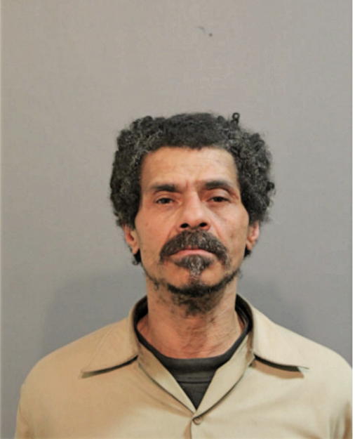 JAMES E WISEMAN, Cook County, Illinois