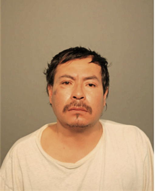 SERAFIN ZAMORA, Cook County, Illinois