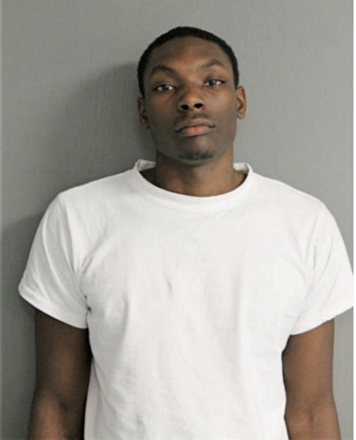 TERRANCE N AUSTIN, Cook County, Illinois