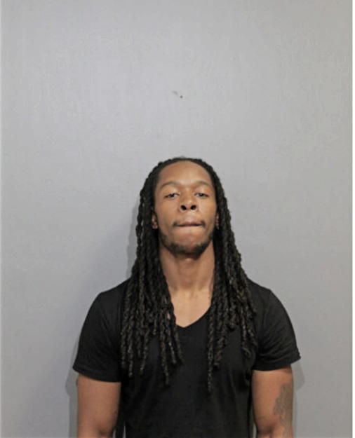 KARON G BRUNT, Cook County, Illinois
