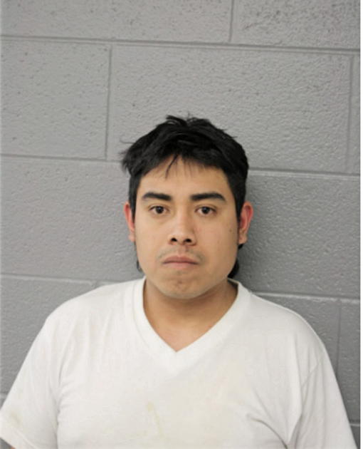 JOSE E CARDONA-RUIZ, Cook County, Illinois