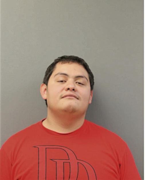 BRIAN DORANTES, Cook County, Illinois