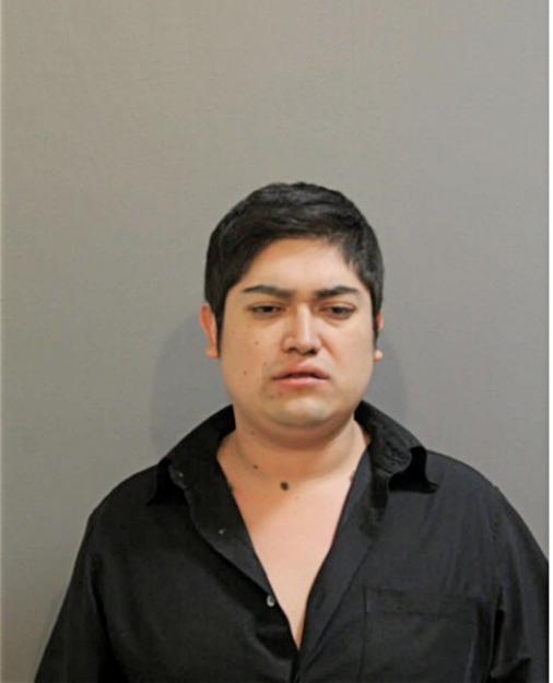 FRANCISCO SALDANA ESCALANTE, Cook County, Illinois